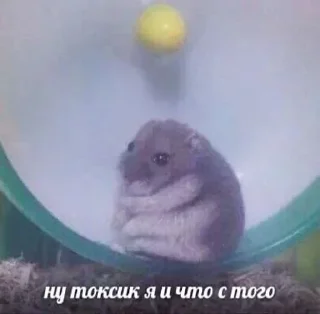 Sticker 💕Стики тут: @sekstick - 0