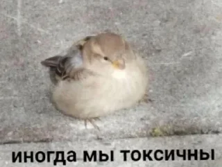 Sticker 💕Стики тут: @sekstick - 11