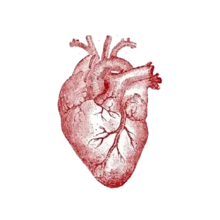 Стикер 💋 - 3