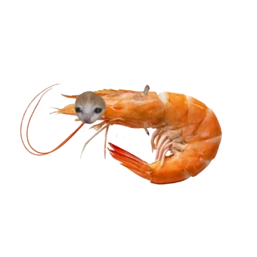 Стикер Nigers - 3