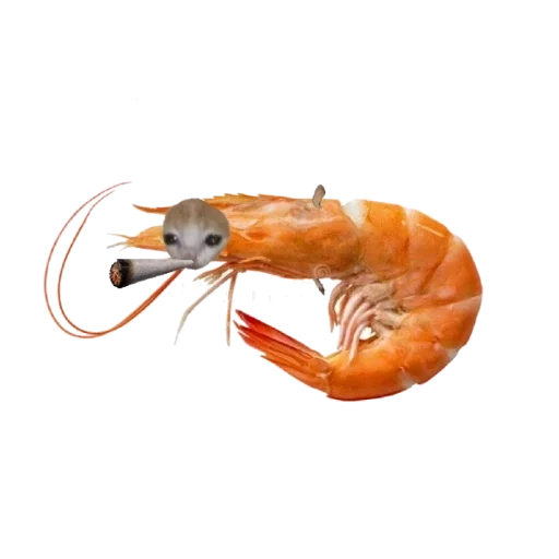 Стикер Nigers - 2