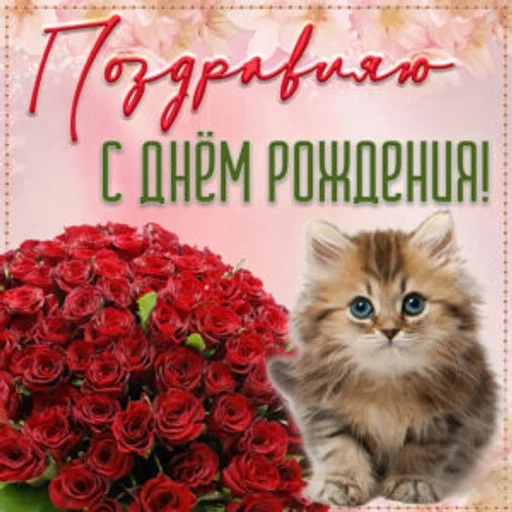 Стикер самый модный :: @fStikBot - 5