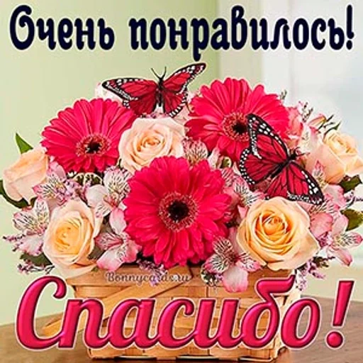 Стикер самый модный :: @fStikBot - 3