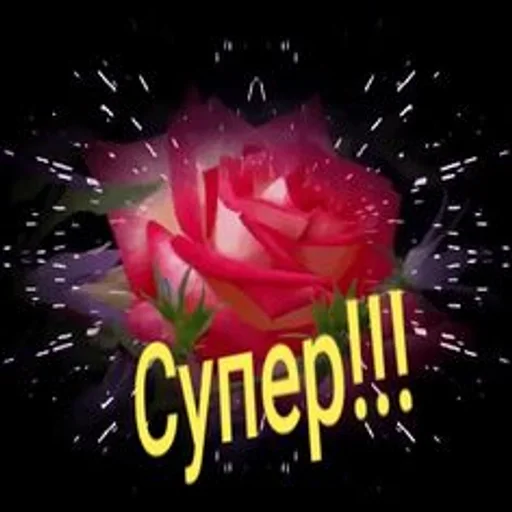 Стикер самый модный :: @fStikBot - 2