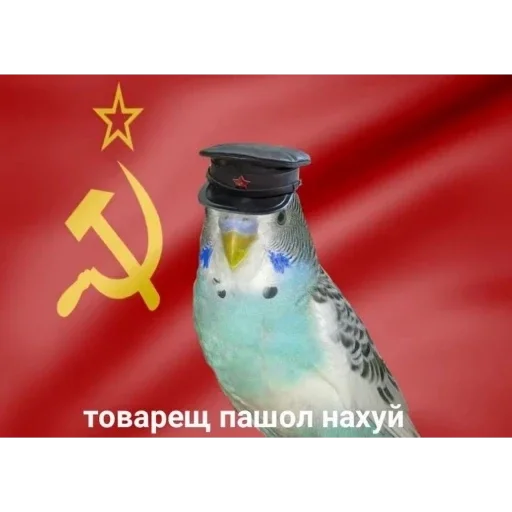 Стикер важно - 9