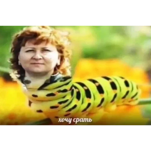 Стикер важно - 6