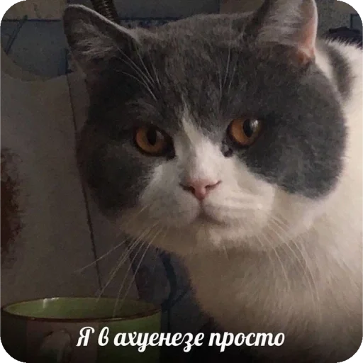 Стикер важно - 2