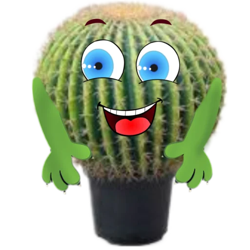 cactus @rpynnaTon - 