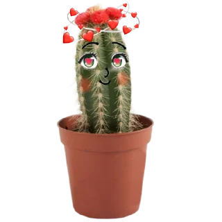 Стикер cactus @rpynnaTon - 2
