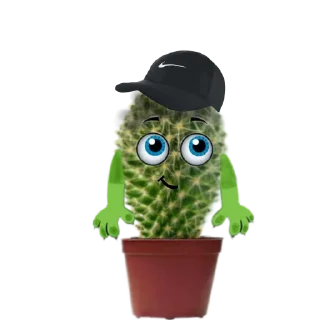 Стикер cactus @rpynnaTon - 6