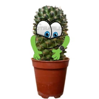 Стикер cactus @rpynnaTon - 7