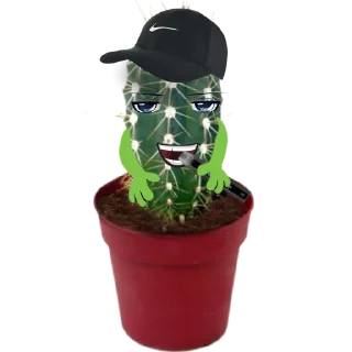 Стикер cactus @rpynnaTon - 5