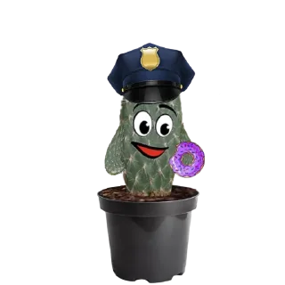 Стикер cactus @rpynnaTon - 10