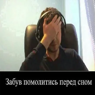 flower arranging floristry cut flowers