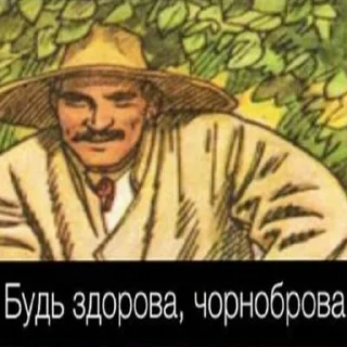 Sticker садок вишневий коло хати 2 - 9