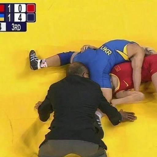 Sticker садок вишневий коло хати 6 - 5