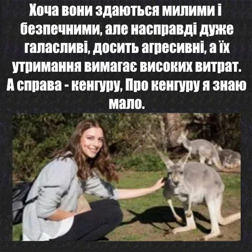 СМС одежда Человек