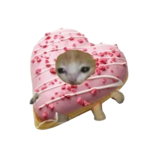 Sticker cakesCats - 1