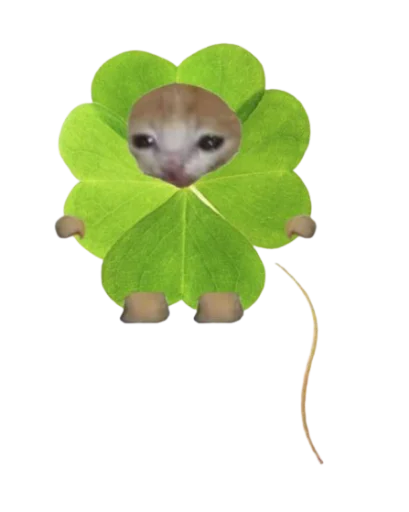 Sticker cakesCats - 1