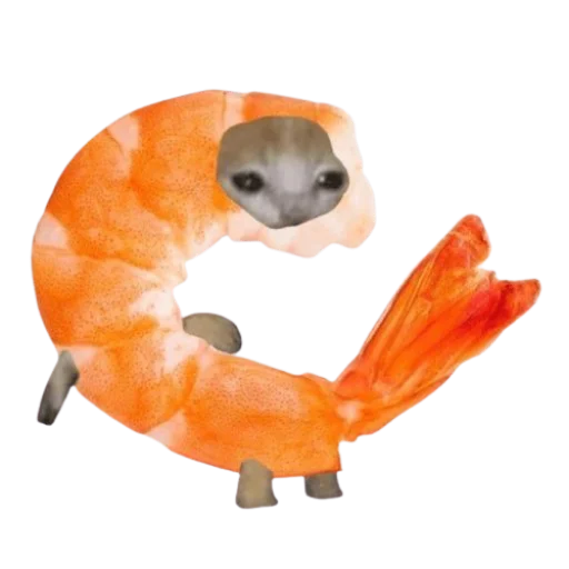 Sticker cakesCats - 1