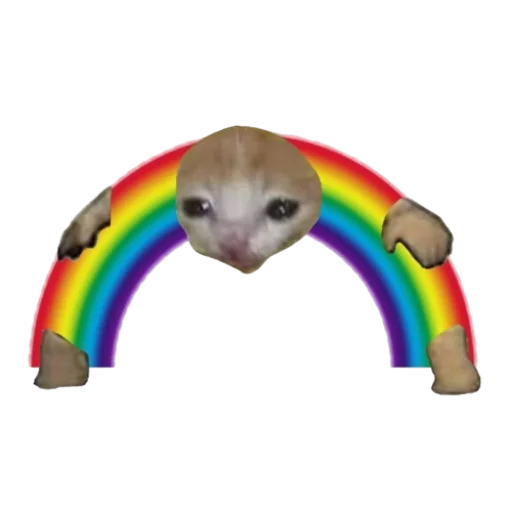 Sticker cakesCats - 1