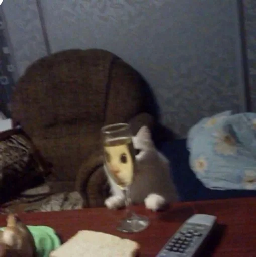 indoor mammal remote