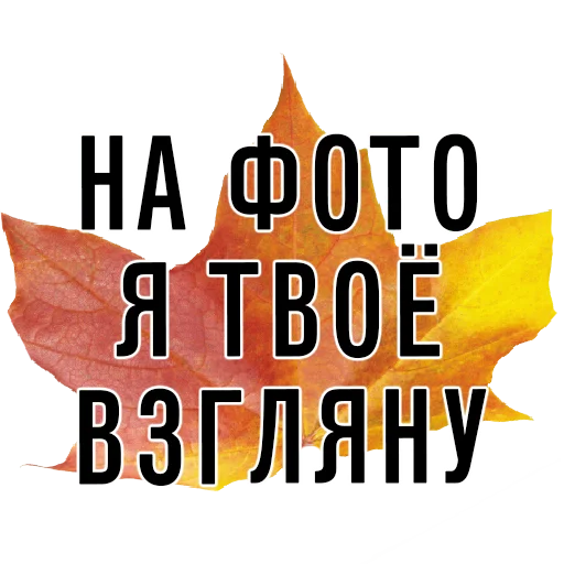 СМС плакат графика