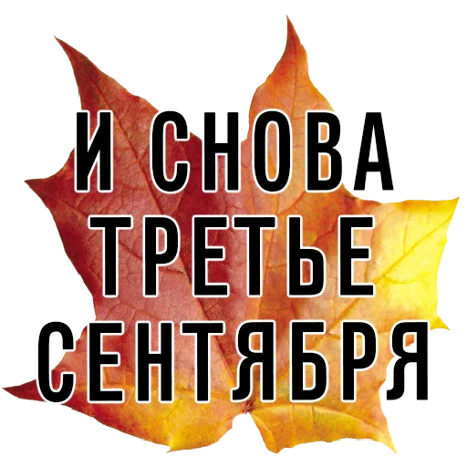 СМС плакат графический дизайн