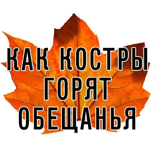 СМС шрифт плакат