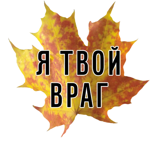 СМС клён кленовый лист