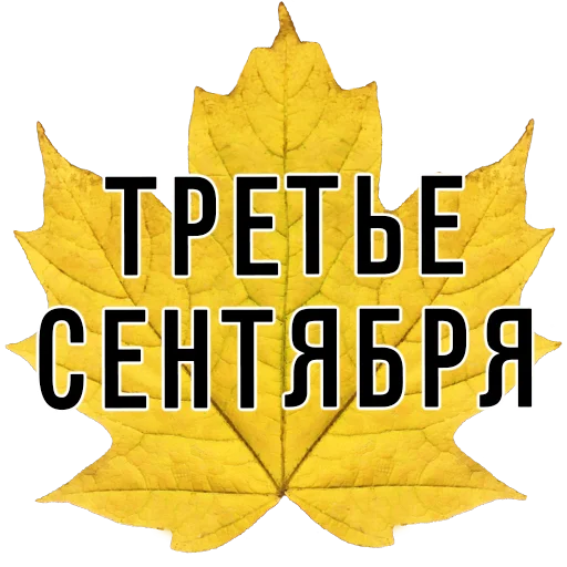 СМС кленовый лист лист