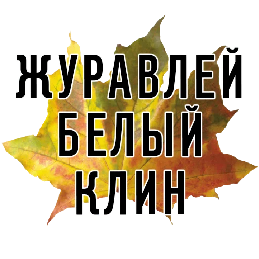 СМС плакат шрифт