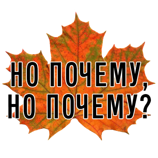 СМС графика шрифт