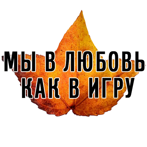 СМС плакат апельсин