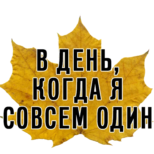 СМС шрифт плакат