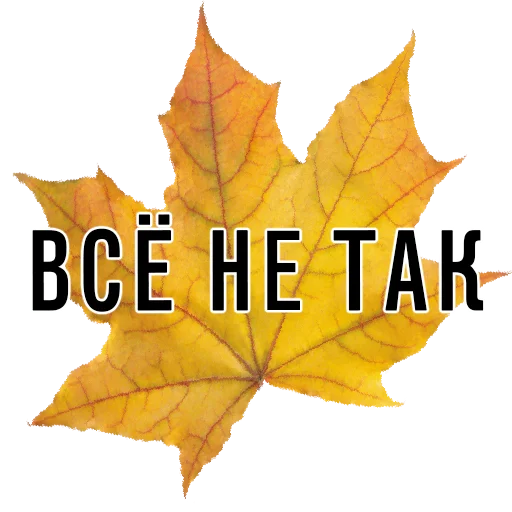 растение лист кленовый лист