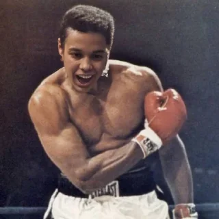 Sticker Создать мемы ➡️ @sportsmem_bot - 7