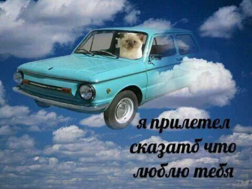 Sticker callmefornight - 1