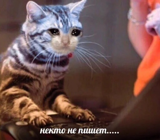 Sticker callmefornight - 1