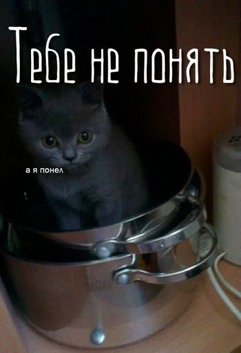 букет ног @orunakek - 