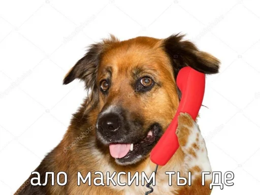 Стикер букет ног @orunakek - 4