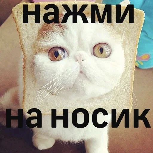 Sticker @callprankers_bot - 6