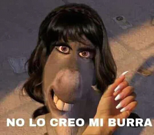 text person human face