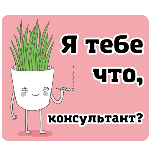 Sticker Cannder - 10