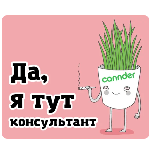 Sticker Cannder - 6