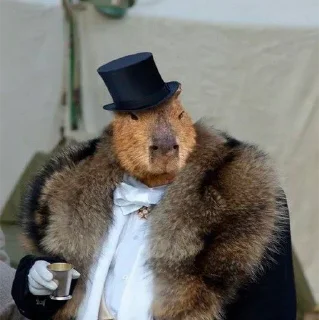 Стикер Больше стикеров: @capybarastiker - 3