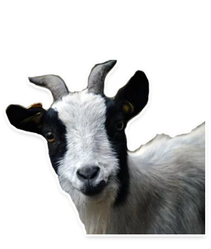 Стикер capreJS - 1