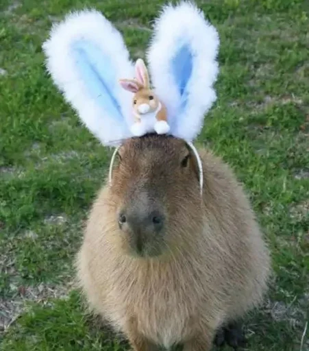 Sticker Капибэрс - 4