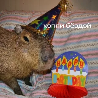 Стикер Капибарий стикерпак @lifehackerru | Лайфхакер - 10