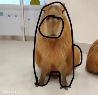 Стикер ‣ Capybara :🪨: @jichulan ♡‌ - 7